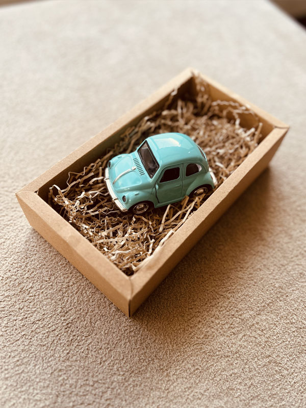 ماکت فولکس مینی - Image 2